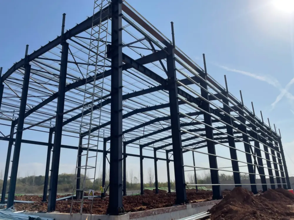 factory building of steel structure